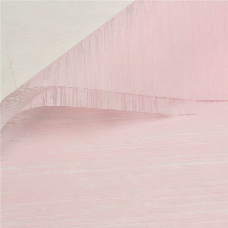 MYHC-51 실크 모양의 반투명 무광택 꽃 포장지